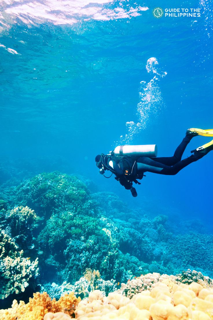 Philippine Diving Tours